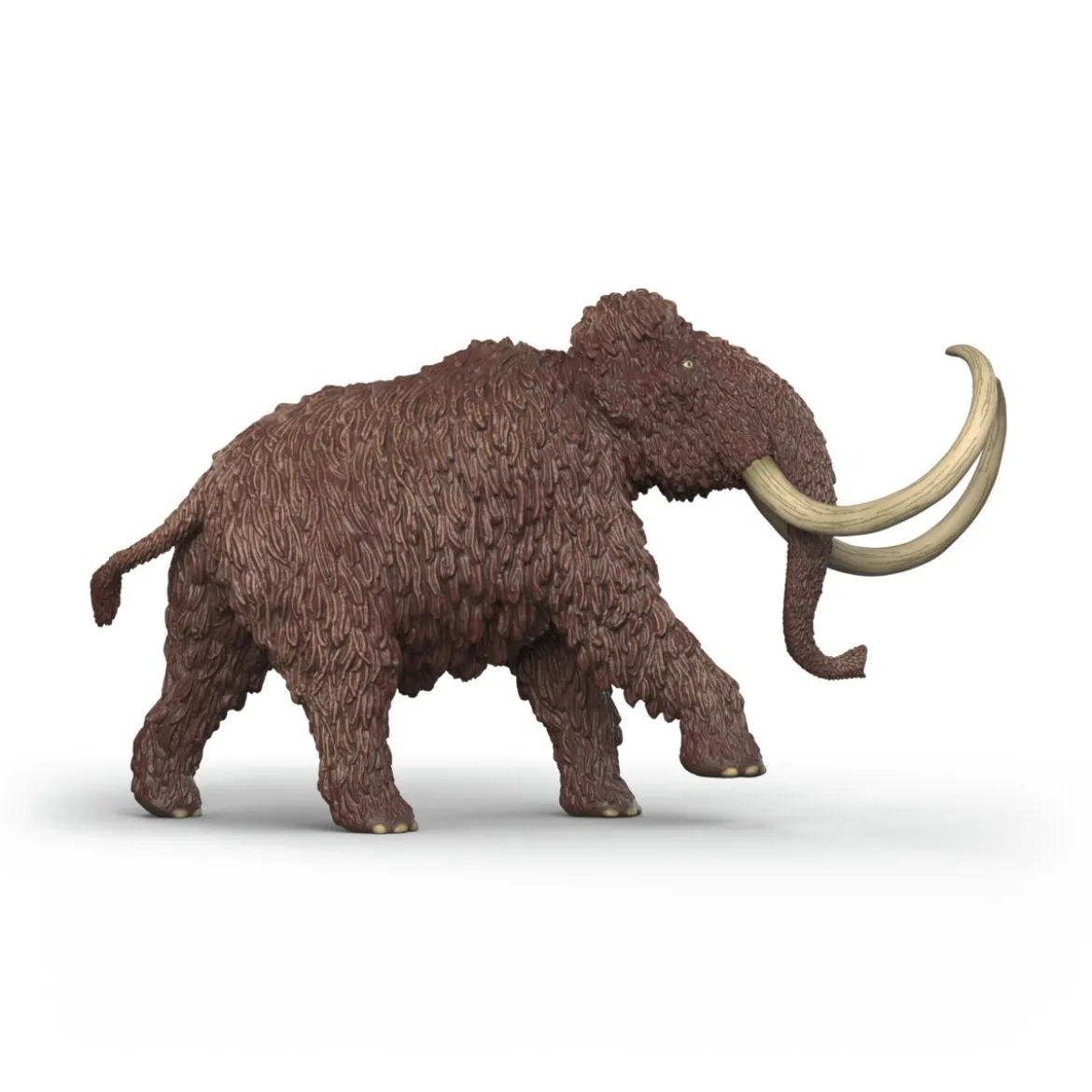 Mammut