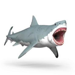 Megalodon