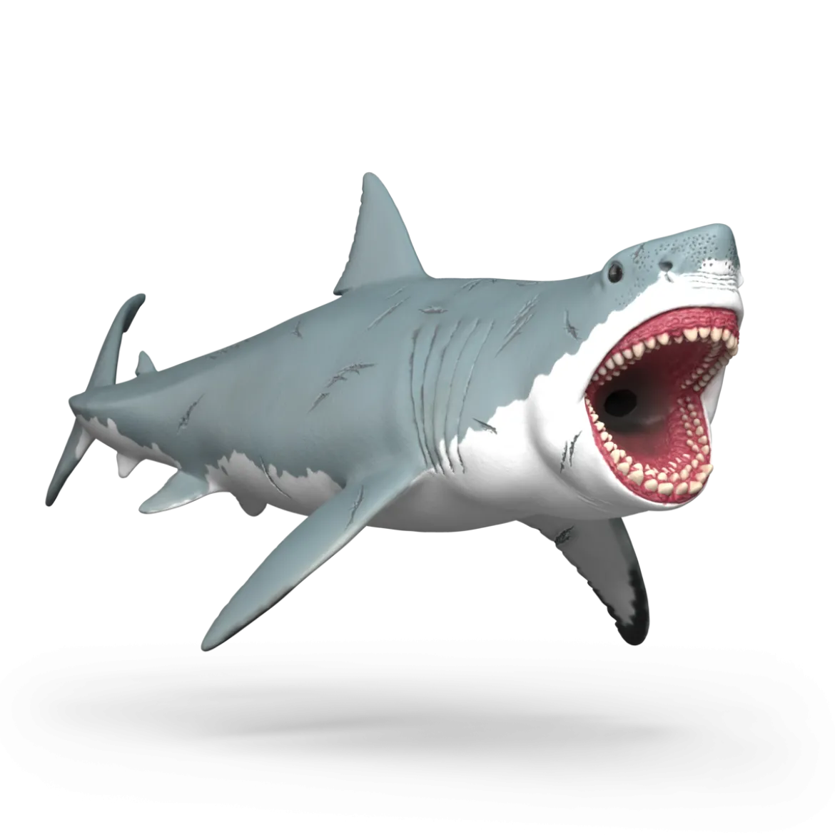 Megalodon