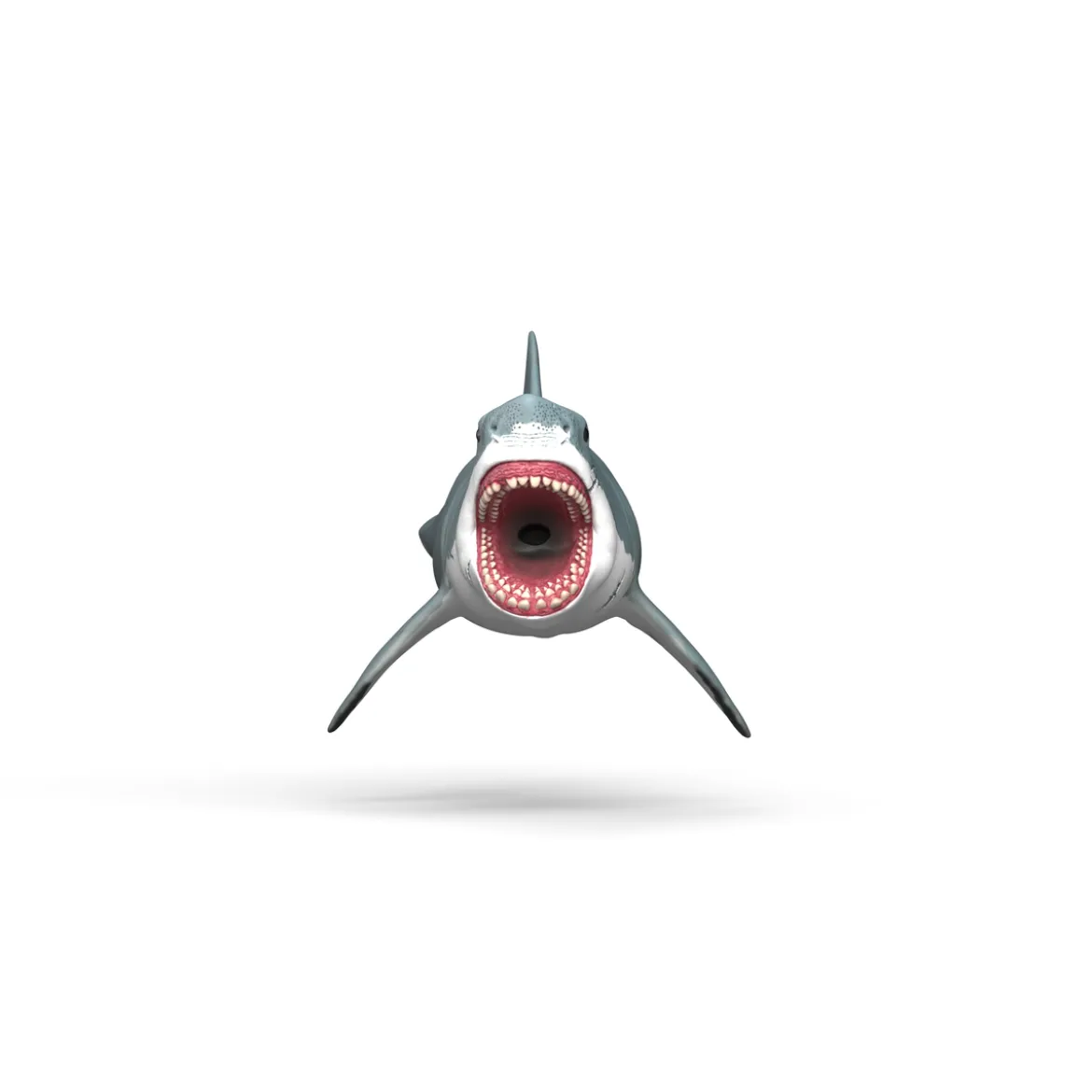 Megalodon