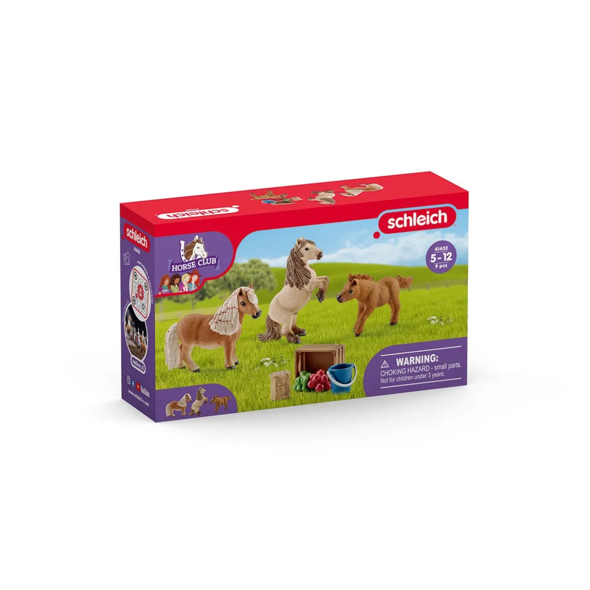 Mini Shetty Familie