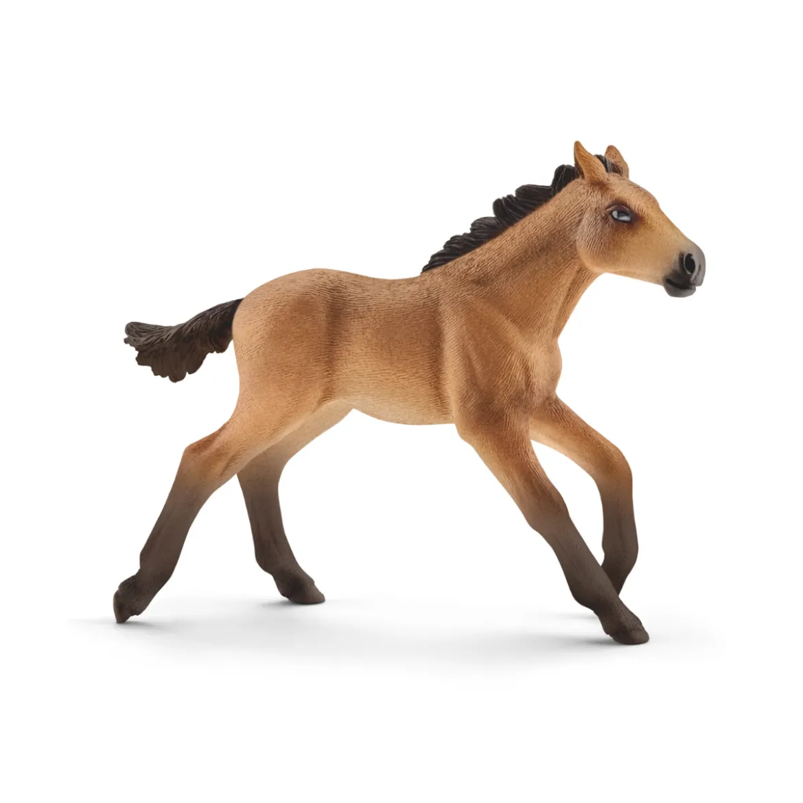 Mustang Fohlen (Bundle)