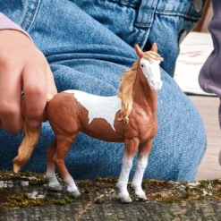Mustang Stute