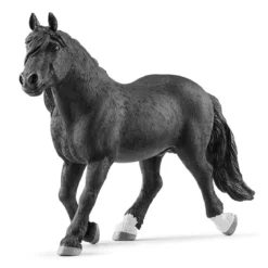 Noriker Hengst