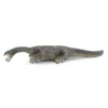 Nothosaurus