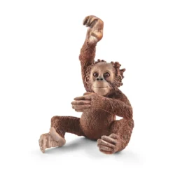 Orang-Utan Junges (Bundle)