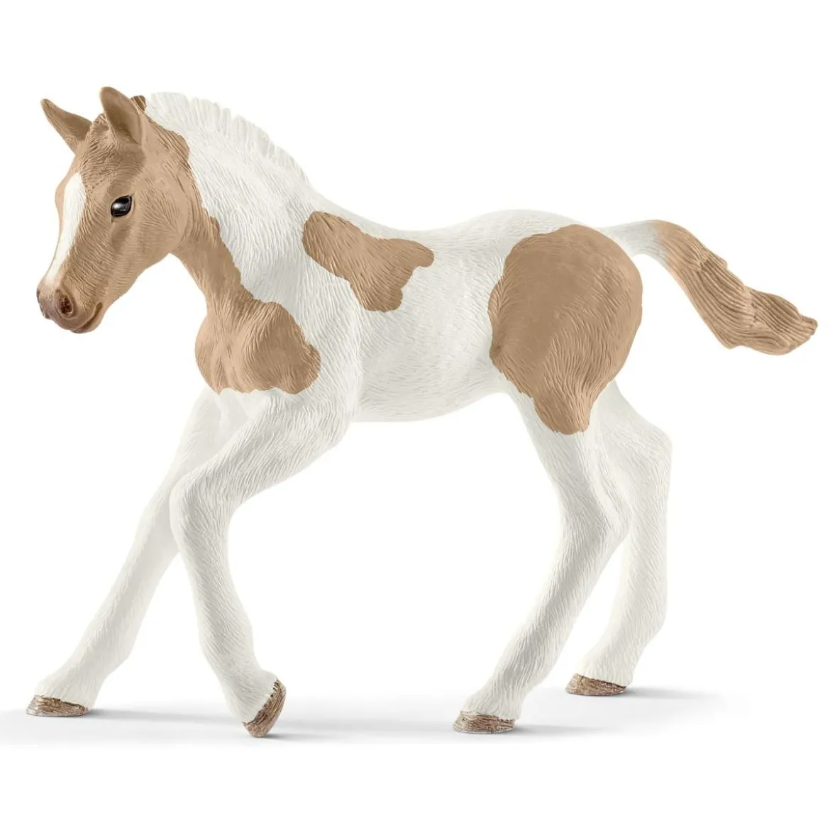 Paint Horse Fohlen