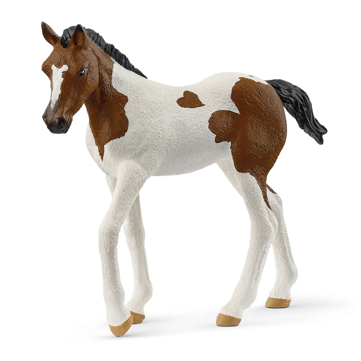 Paint Horse Fohlen