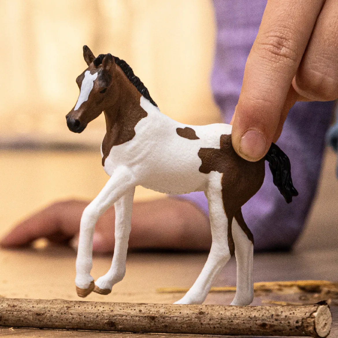 Paint Horse Fohlen