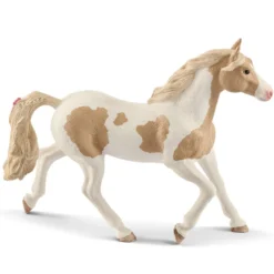 Paint Horse Stute