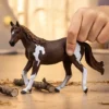 Paint Horse Stute