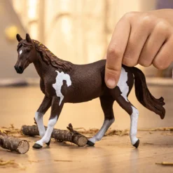 Paint Horse Stute