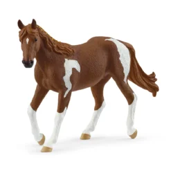 Paint Horse Stute