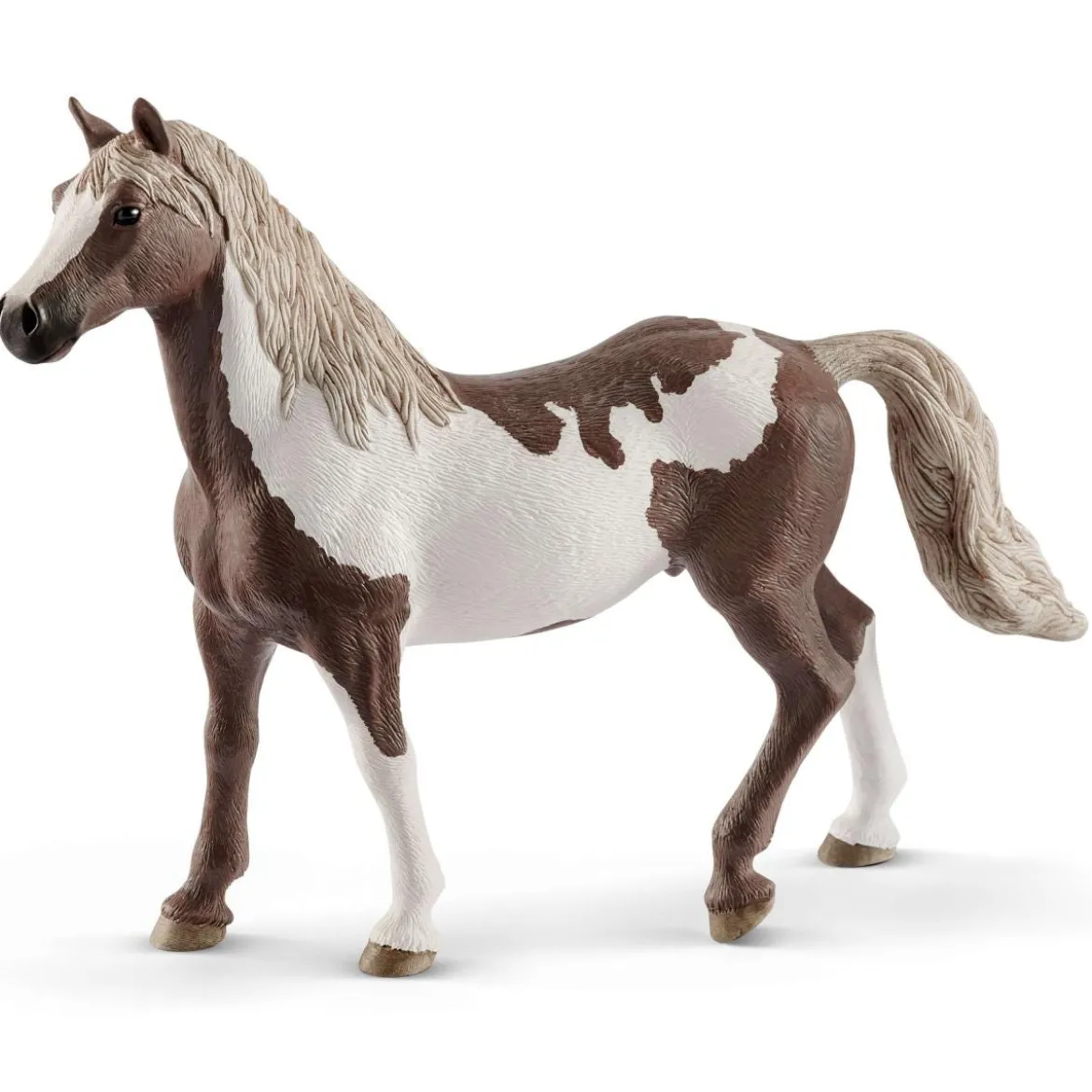 Paint Horse Wallach