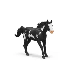 Paint Horse Wallach