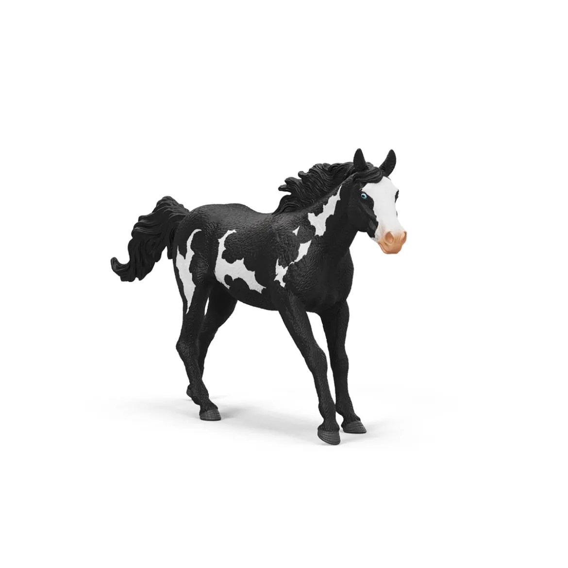 Paint Horse Wallach