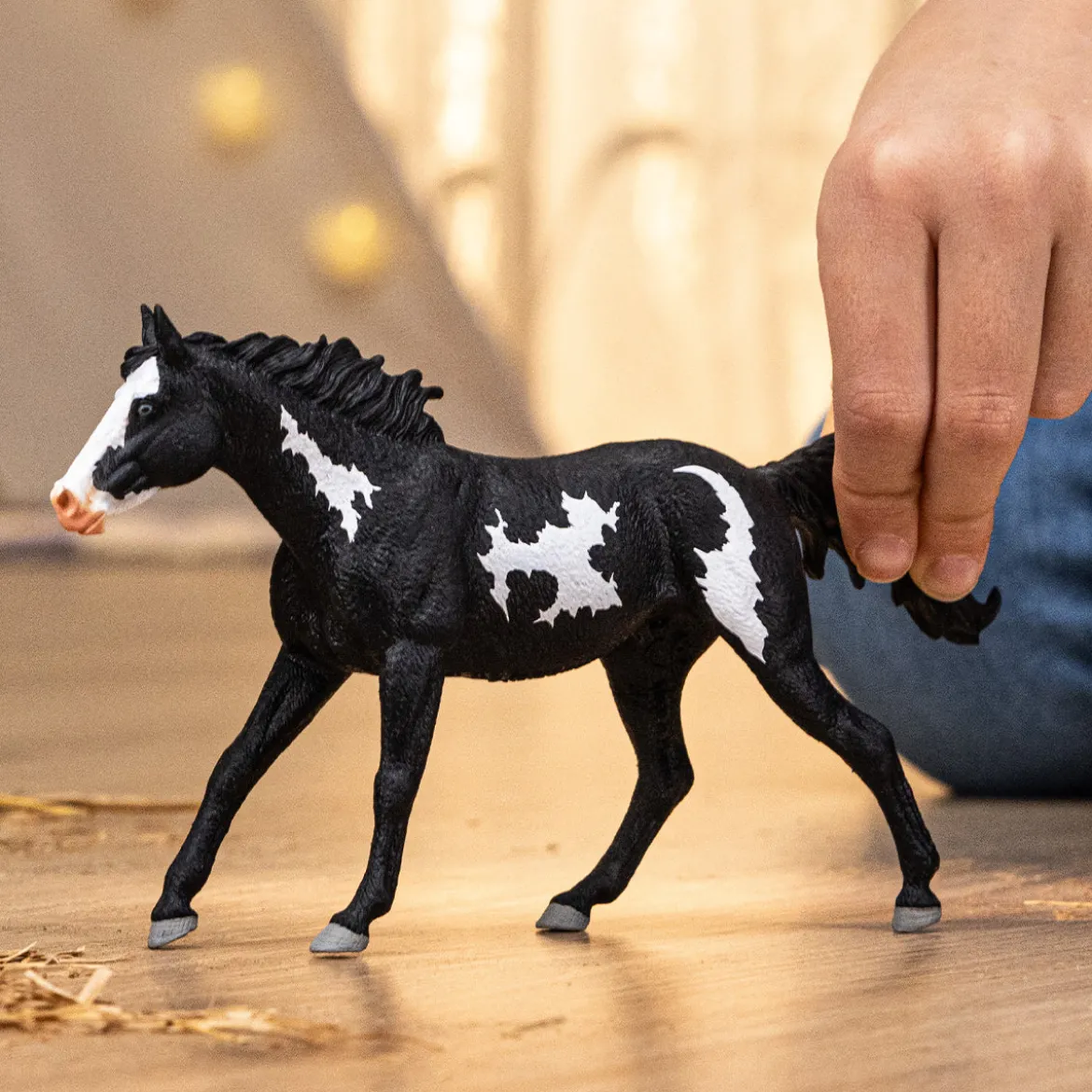 Paint Horse Wallach