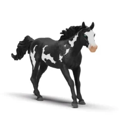 Paint Horse Wallach