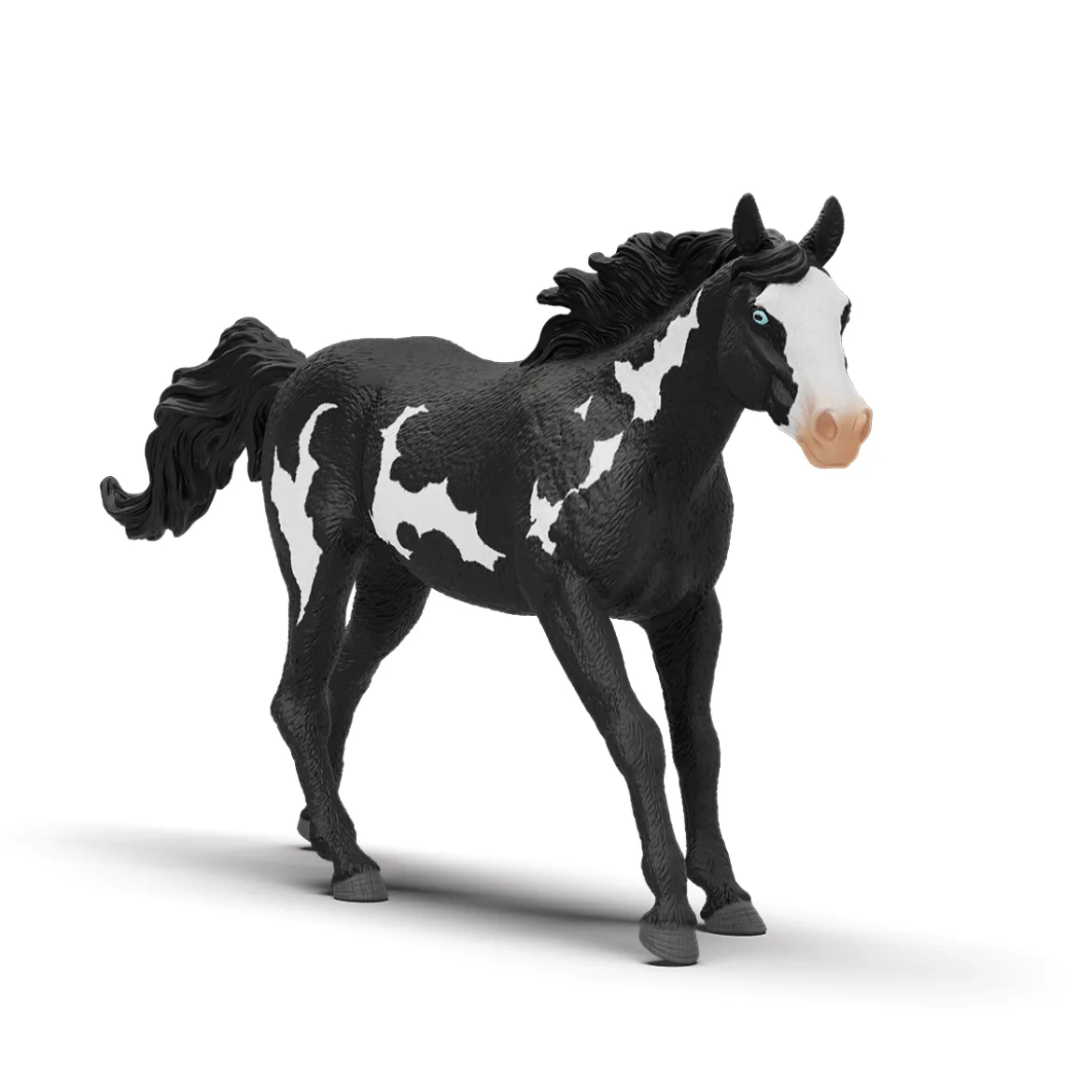 Paint Horse Wallach
