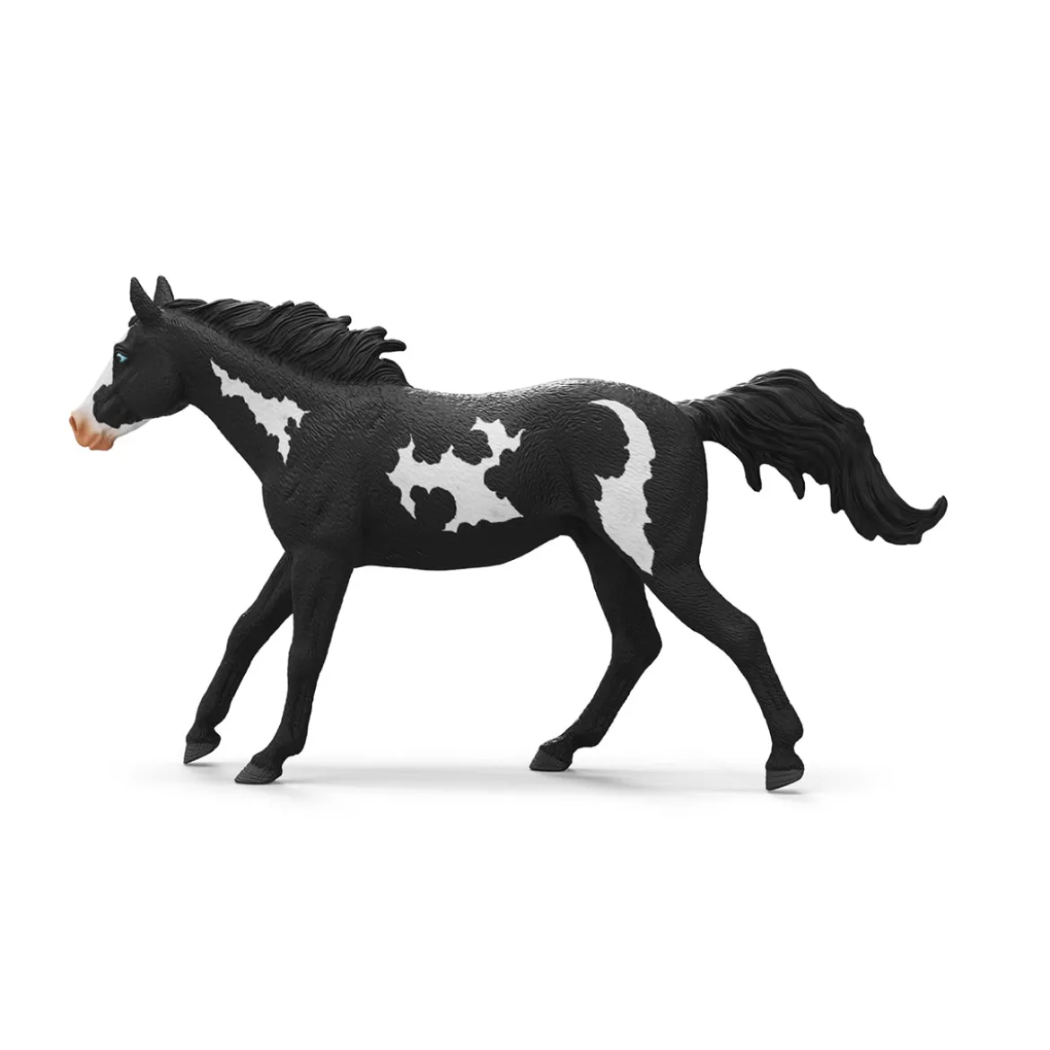 Paint Horse Wallach