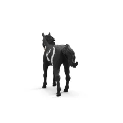 Paint Horse Wallach