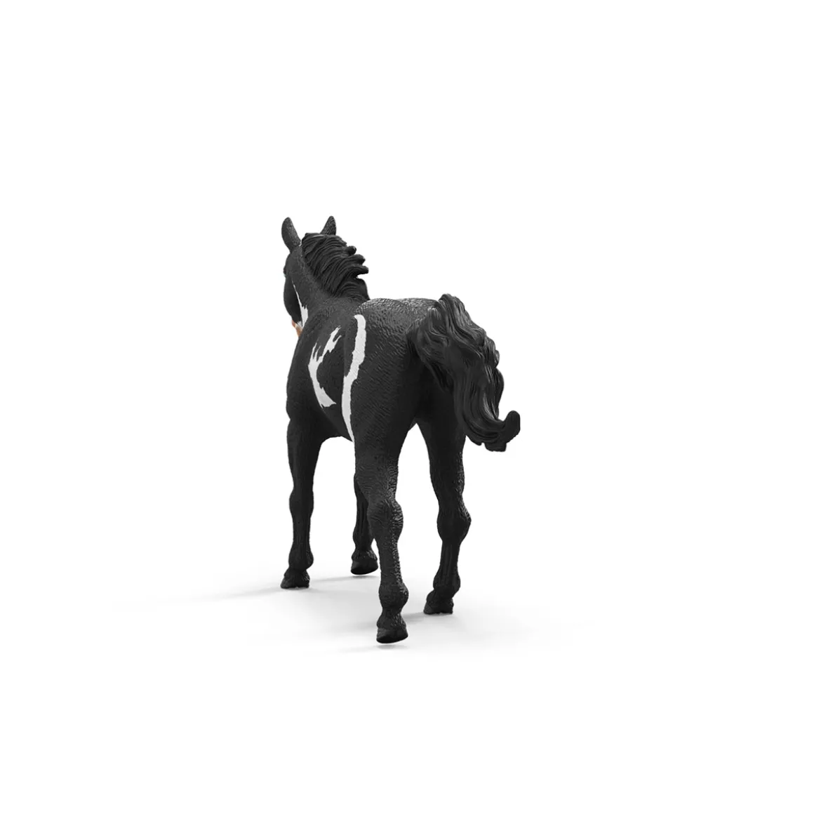 Paint Horse Wallach