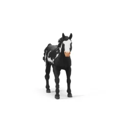 Paint Horse Wallach