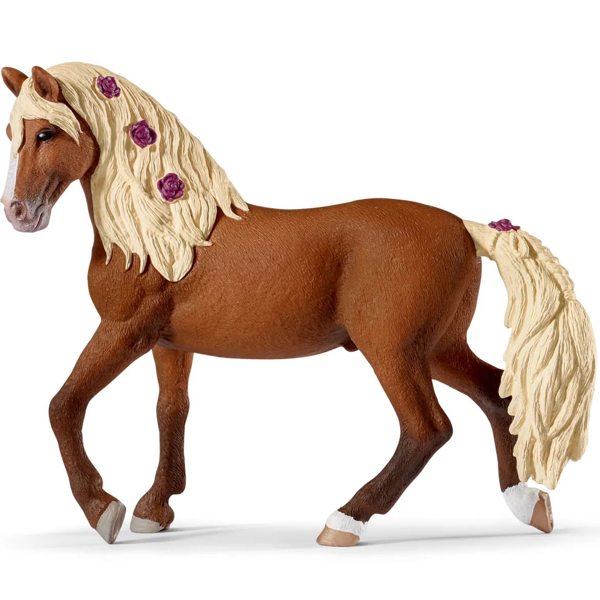 Paso Fino Hengst Pferdeshow