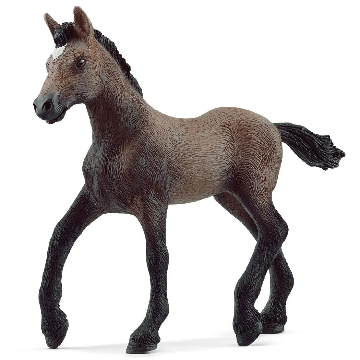Paso Peruano Fohlen