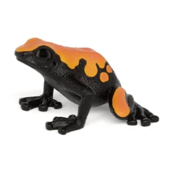 Pfeilgiftfrosch (bundle)