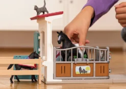 Pferdebox mit Stute und Fohlen