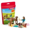 Picknick mit Lisa