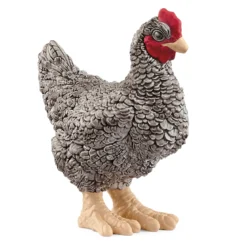 Plymouth Rock Huhn