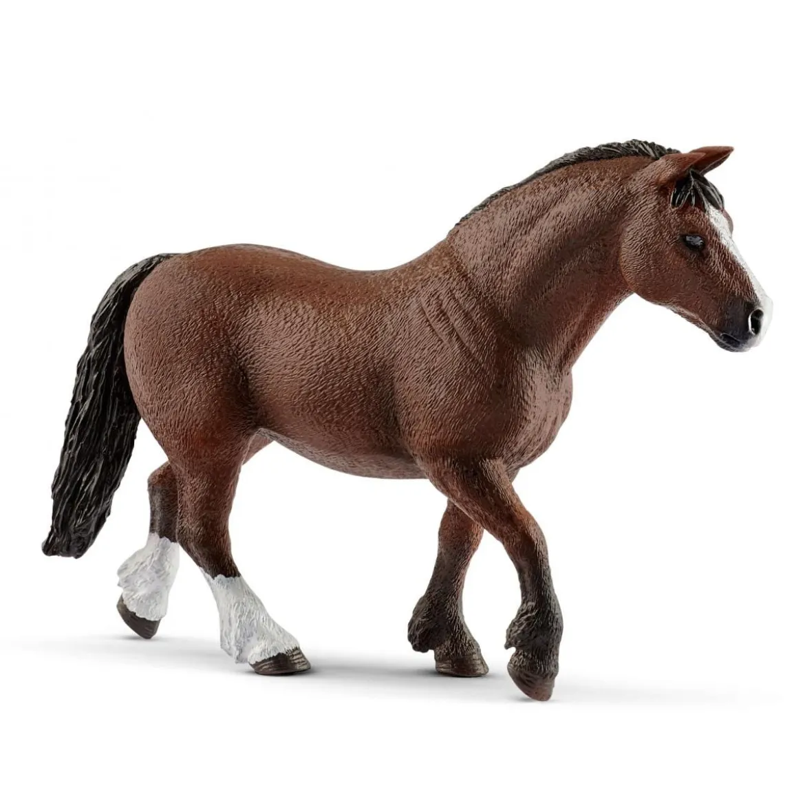 Pony Agility Rennen