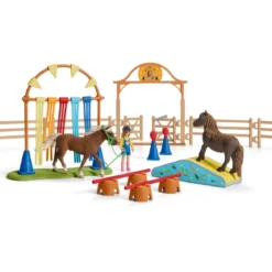 Pony Agility Training