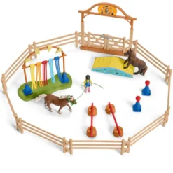 Pony Agility Training