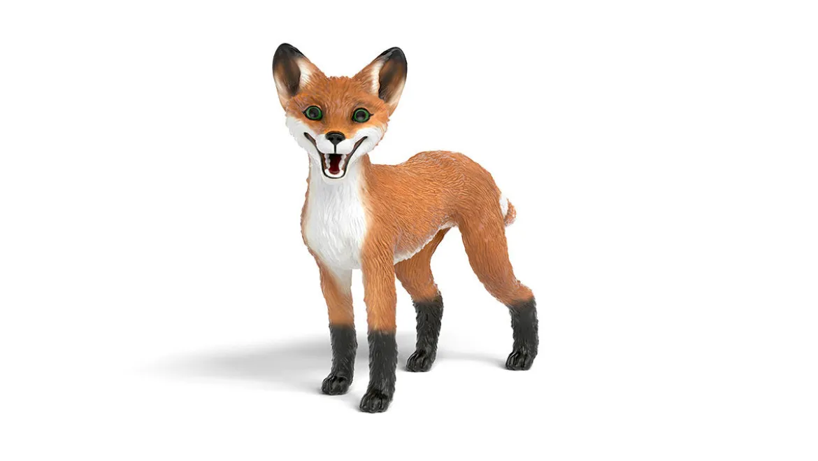 Rabbat der Fuchs