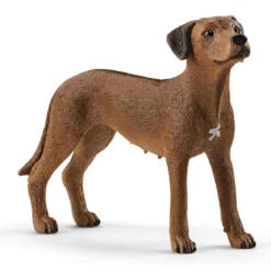 Rhodesian Ridgeback