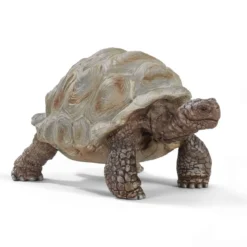 Riesenschildkröte