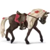 Rocky Mountain Horse Stute Pferdeshow
