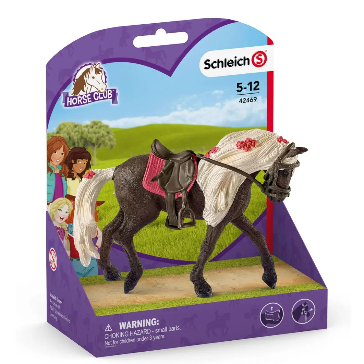 Rocky Mountain Horse Stute Pferdeshow