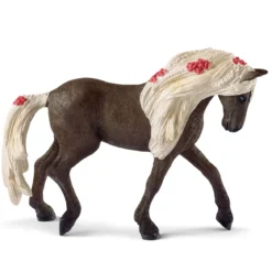 Rocky Mountain Horse Stute Pferdeshow