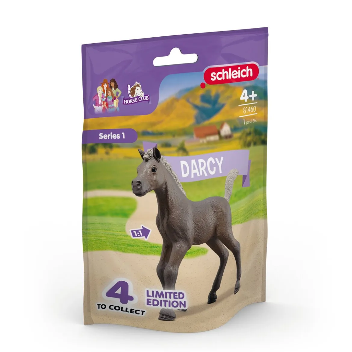 Sammelfohlen Darcy