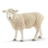 Schaf (Bundle)