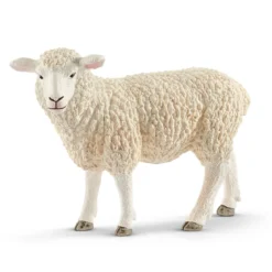 Schaf (Bundle)