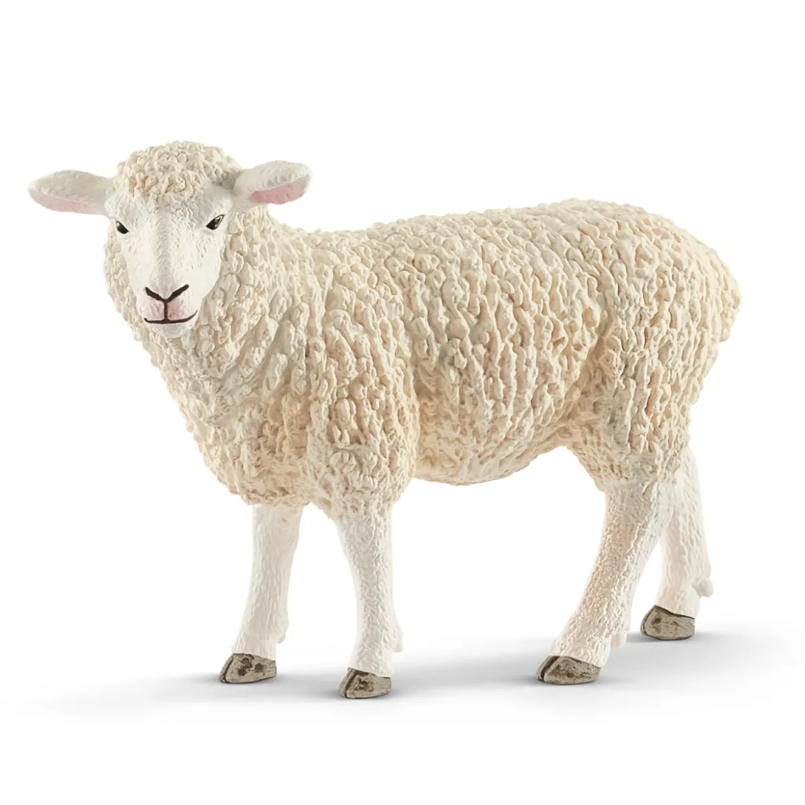Schaf (Bundle)