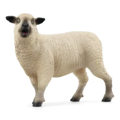 Schaffreunde