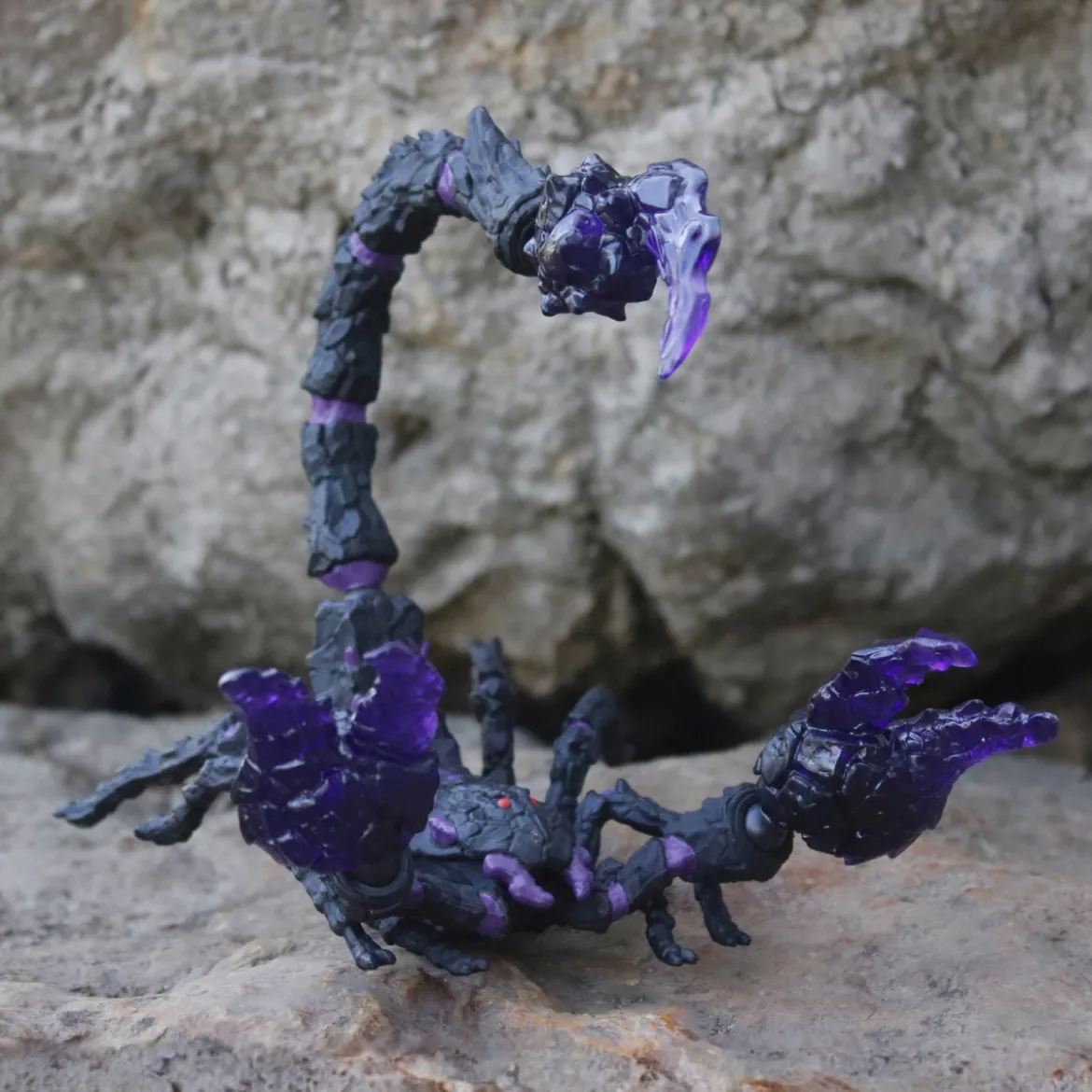 Schattenskorpion
