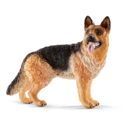 Schäferhund