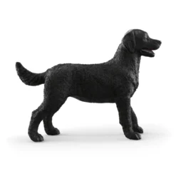 Schwarze Labrador Retriever Hündin